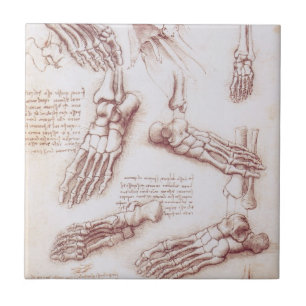 Leonardo da Vinci's Human Anatomy Foot Bones Tile