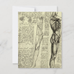 Leonardo da Vinci's Human Anatomy Male Muscles