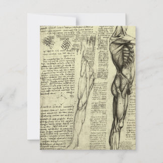 Leonardo da Vinci's Human Anatomy Male Muscles