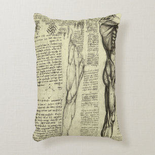 Leonardo da Vinci's Human Anatomy Male Muscles Accent Pillow