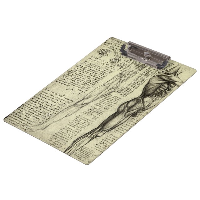 Leonardo da Vinci's Human Anatomy Male Muscles Clipboard (Angled)