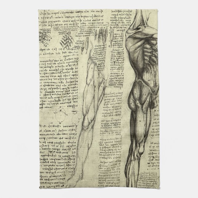 Leonardo da Vinci's Human Anatomy Male Muscles Kitchen Towel (Vertical)