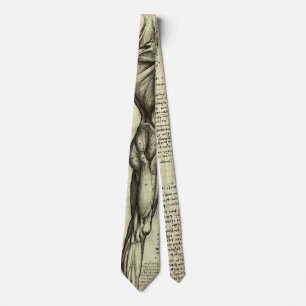 Leonardo da Vinci's Human Anatomy Male Muscles Tie