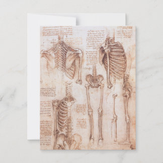 Leonardo da Vinci's Human Anatomy Skeleton Bones