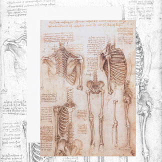 Leonardo da Vinci's Human Anatomy Skeleton Bones