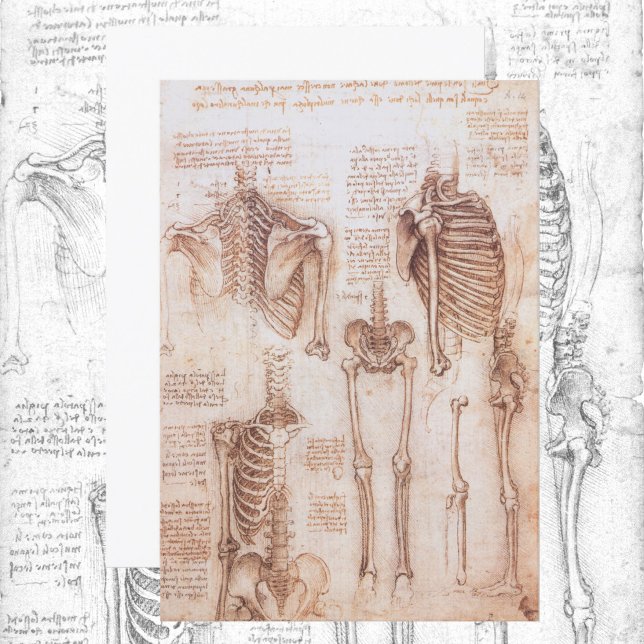 Leonardo da Vinci's Human Anatomy Skeleton Bones (Creator Uploaded)