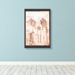Leonardo da Vinci's Human Anatomy Skeleton Bones Canvas Print