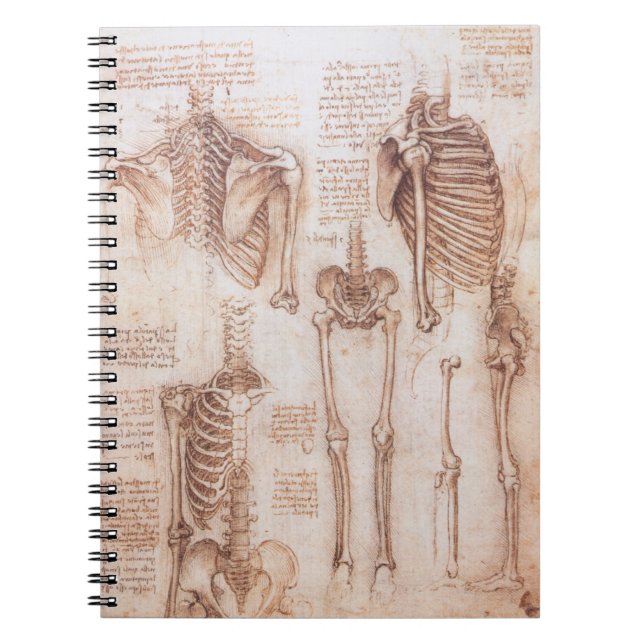 Leonardo da Vinci's Human Anatomy Skeleton Bones Notebook (Front)