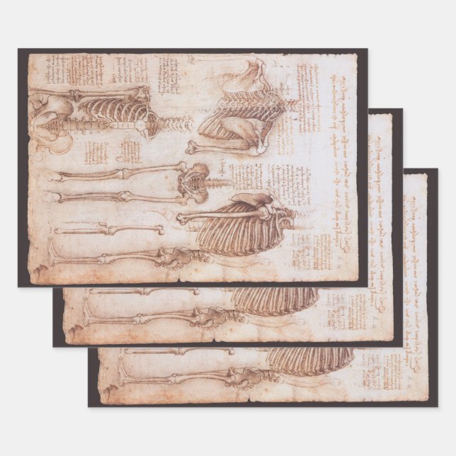 Leonardo da Vinci's Human Anatomy Skeleton Bones Wrapping Paper Sheet (Set)