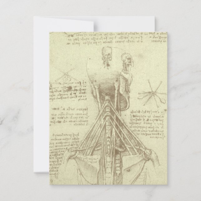 Leonardo da Vinci's Human Anatomy Spinal Column (Front)