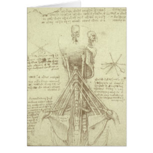 Leonardo da Vinci's Human Anatomy Spinal Column