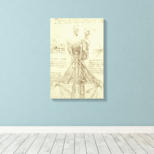 Leonardo da Vinci's Human Anatomy Spinal Column Canvas Print
