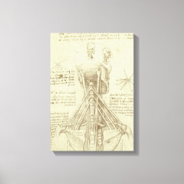 Leonardo da Vinci's Human Anatomy Spinal Column Canvas Print (Front)