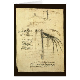Leonardo da Vinci's Wing on Flying Machine Sketch