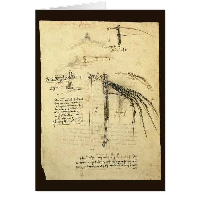 Leonardo da Vinci's Wing on Flying Machine Sketch (Front)