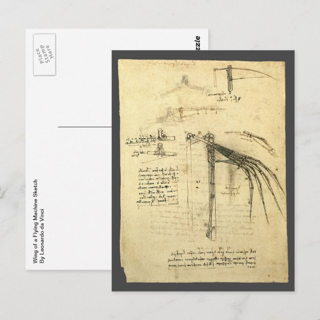 Leonardo da Vinci's Wing on Flying Machine Sketch Postcard (Front/Back)