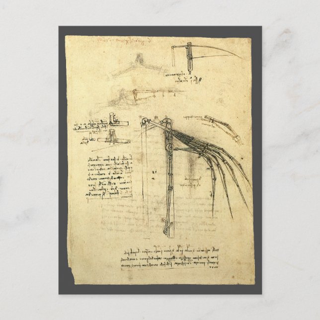 Leonardo da Vinci's Wing on Flying Machine Sketch Postcard (Front)