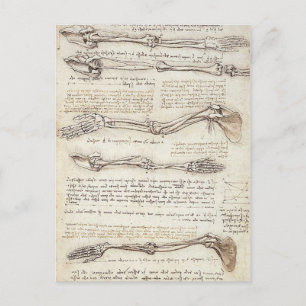 Leonardo Limb Postcard
