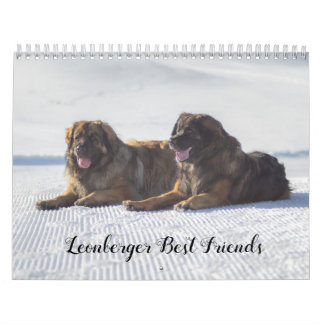 Leonberger Best Friends Calendar