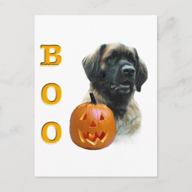 Leonberger Boo Postcard (Front)