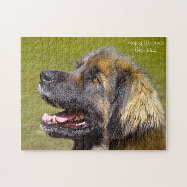 Leonberger Dog. Jigsaw Puzzle (Horizontal)