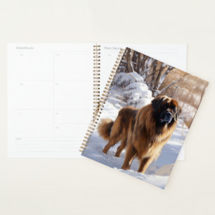 Leonberger Laissez-le neiger Noël