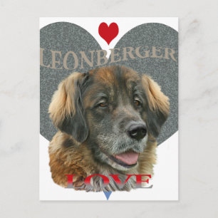Leonberger Love Gift Ideas Postcard