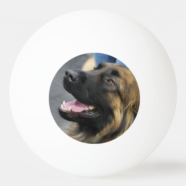 Leonberger Ping Pong Ball (Front)