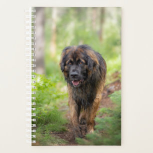 Leonberger Planner