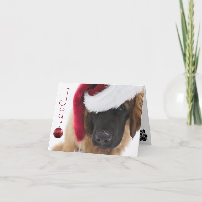 Leonberger puppy Christmas Holiday Card (Front)