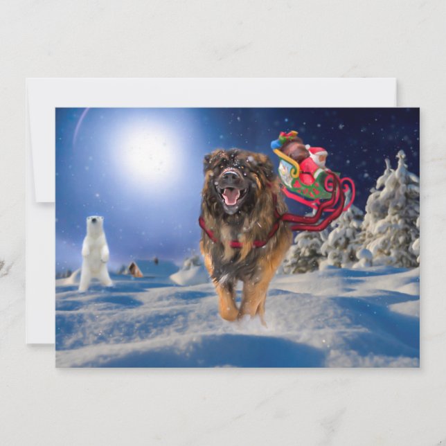 Leonberger sauve la carte plate de vacances de (Devant)