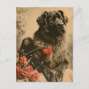 Leonberger Valentine's Day Vintage  Postcard