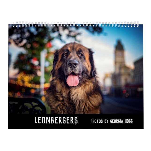 Leonbergers Calendar (Cover)