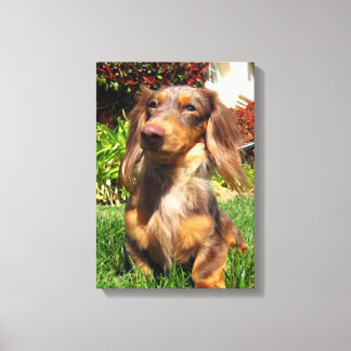 leonidas canvas print