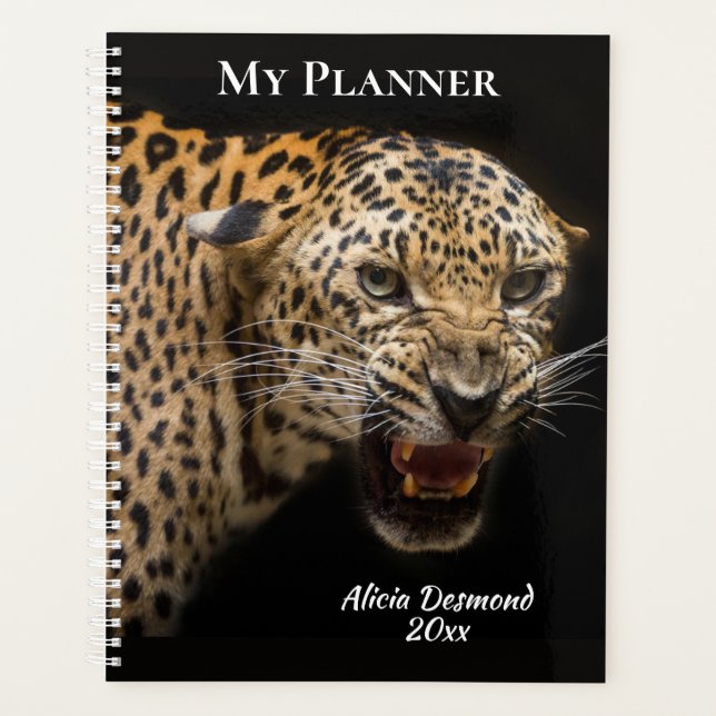 Leopard (Devant)