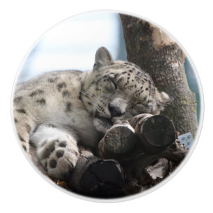 Leopard 002 ceramic knob