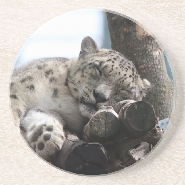 Leopard 002 coaster (Front)