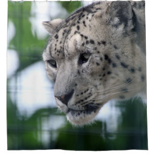 Leopard 003