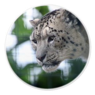Leopard 003 ceramic knob