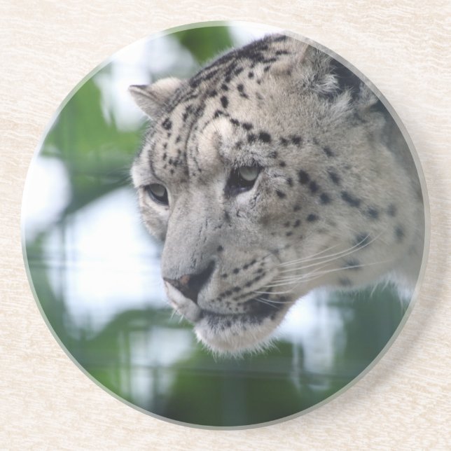 Leopard 003 coaster (Front)