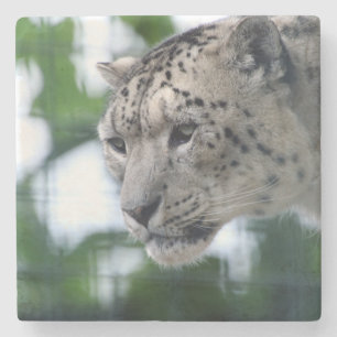 Leopard 003 stone coaster