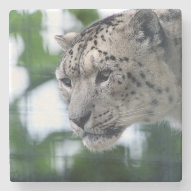 Leopard 003 stone coaster (Front)