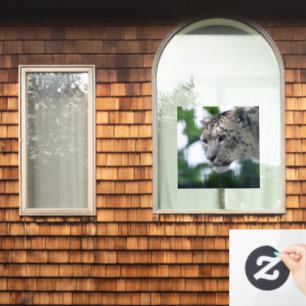 Leopard 003 window cling