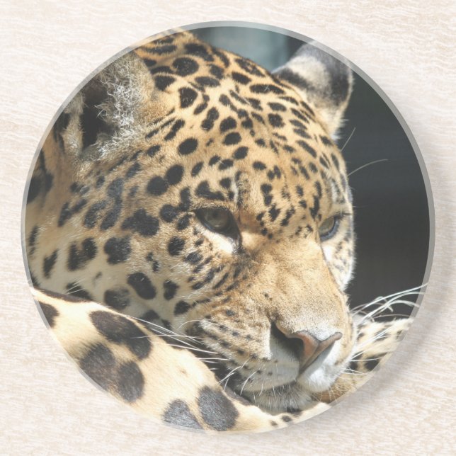 Leopard 004 coaster (Front)