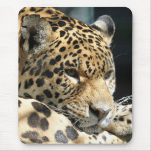 Leopard 004 mouse pad