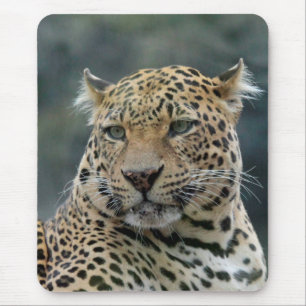 Leopard 006 mouse pad