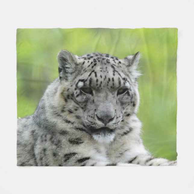 Leopard_2015_0310 Fleece Blanket (Front (Horizontal))