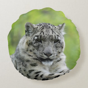 Leopard_2015_0310 Round Pillow