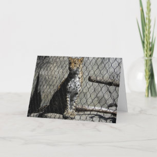 "Leopard #3" Carte de puits