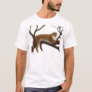 Léopard africain dans le T-shirt d'arbre